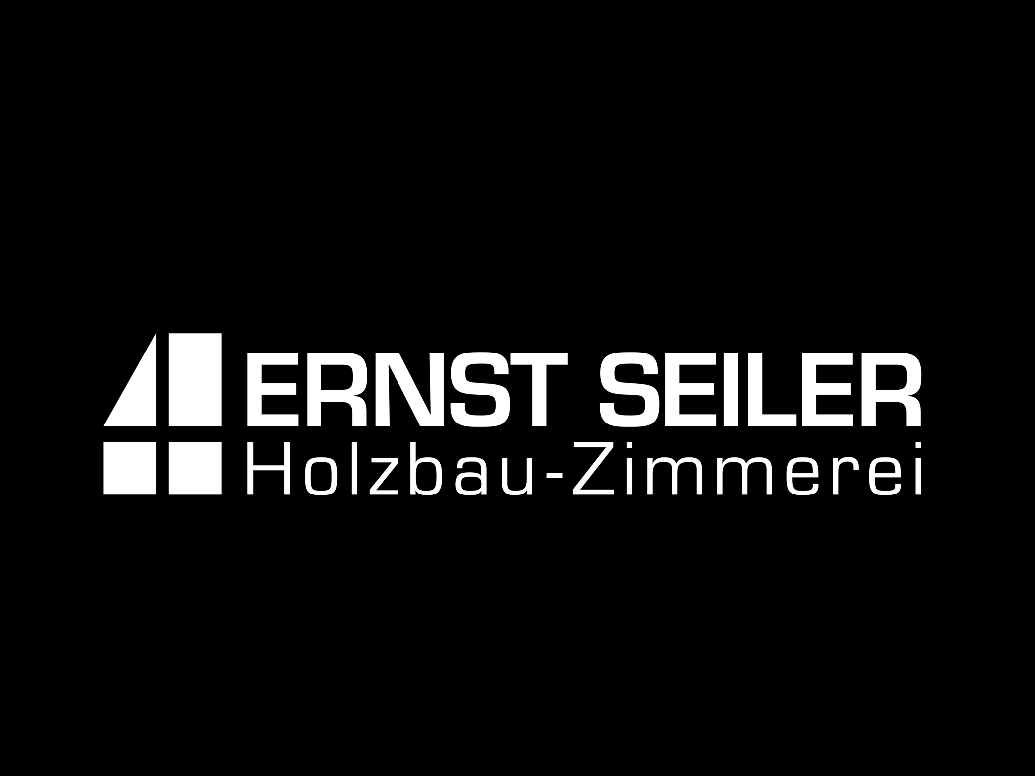 xm - Kundenlogo - Ernst Seiler - 2026 - 03
